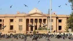 SHC restrains ACE from taking action against Haleem Adil
