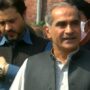 Saad: PML-N would win all 20 Punjab assembly seats
