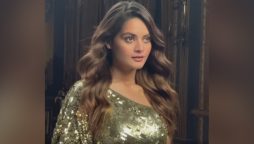 Minal Khan sizzles in one-shoulder shimmery gown