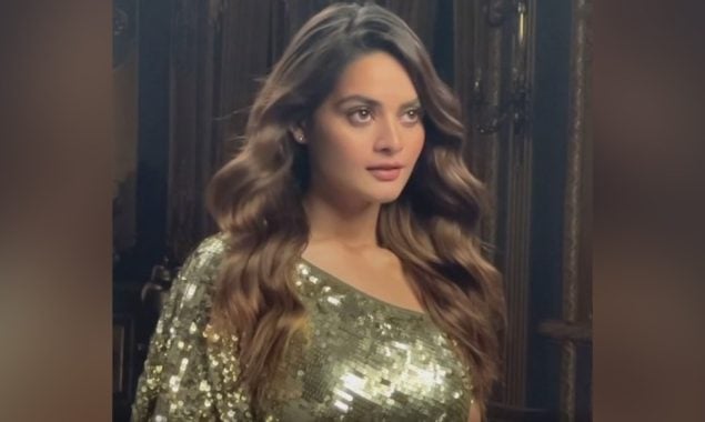 Minal Khan sizzles in one-shoulder shimmery gown