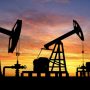 Oil tops $113, equities sink on Ukraine war fears