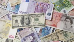 Pakistani freelancers