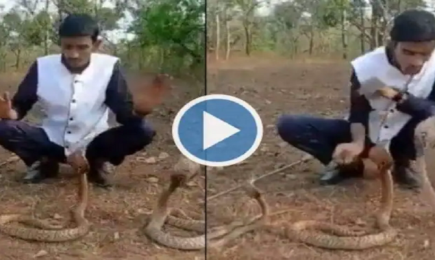 Watch: A guy plays with three cobras, Stunt goes horribly wrong