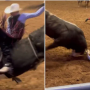 Terrifying Video: A father saves his 18-year-old son from a raging bull