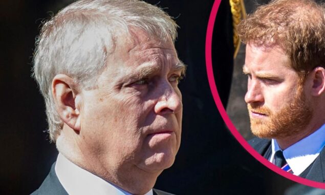 Prince Harry and Prince Andrew are not fit to be counsellors