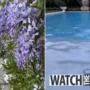 Khloe Kardashian gives a tour of her $37 million mansion’s garden, which includes a pool and an archway, while True, 3, plays by the fire pit