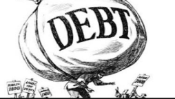 domestic debt