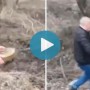 Watch Video: A Ukrainian man moves a land mine with bare hands while smoking