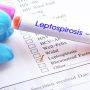 29 people die of leptospirosis in Fiji