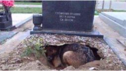 Grave