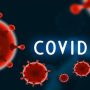 Pakistan reports zero COVID-19 death for 2nd day