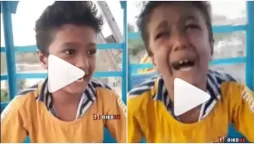 Watch Video: Netizens Can’t Stop Laughing as a Desi Boy Freaks Out on a Ferris Wheel