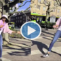 Watch video: Badminton player PV Sindhu dance on Mayakirriye in Tamil
