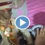 Watch: Groom slaps the bride during Varmala ceremony