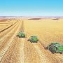 Ukraine tensions to affect agricultural trade, but impact on China limited: analysts