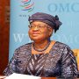 WTO chief warns of food price rise