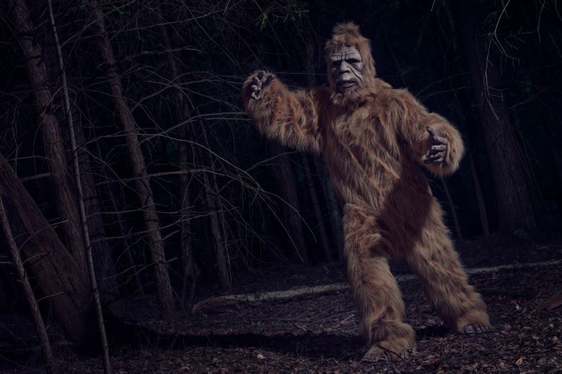beast attacked ranch