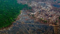 Brazil sets ‘concerning’ new deforestation record in Amazon