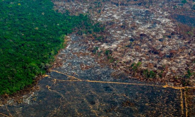 Brazil sets ‘concerning’ new deforestation record in Amazon