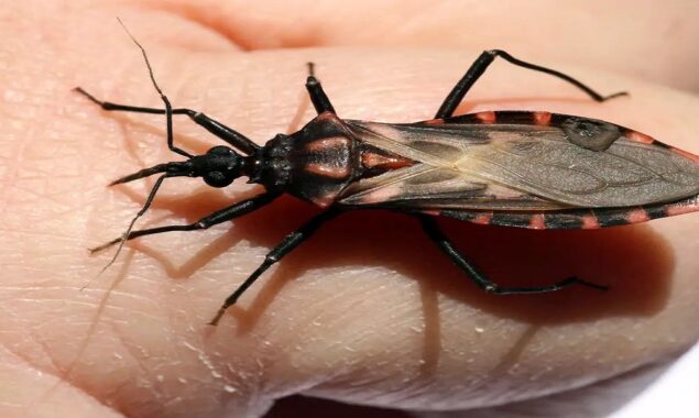 The Chagas disease ignored for too long?
