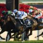 Hong Kong horse racing gallops on through depths of pandemic