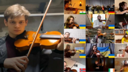 musicians