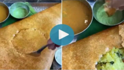 Disagree Netizens: Food blogger shows how to eat masala dosa goes viral