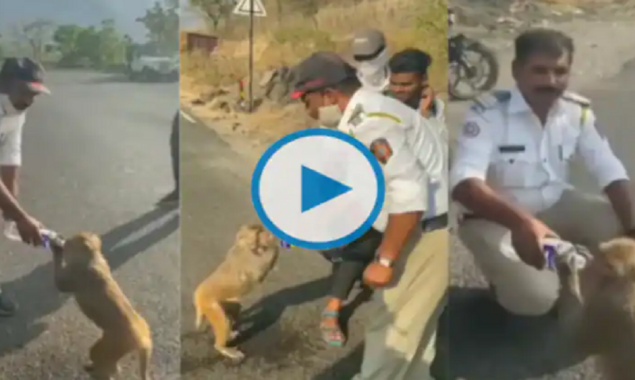 Heartwarming Video: Maharashtra Police provides water to thirsty monkeys