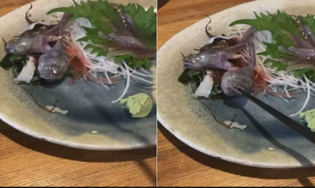 Netizen disgusts: Alive fish served at the restaurant also bites a chopstick