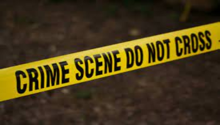 Russian oligarch's wife and daughter found death in Spanish villa
