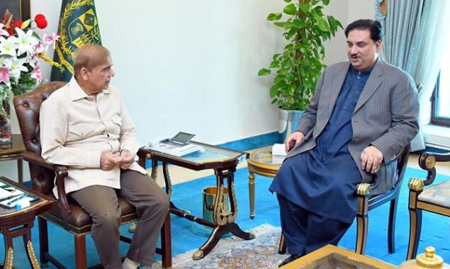 Ministers call on PM Shehbaz and discuss future line of action