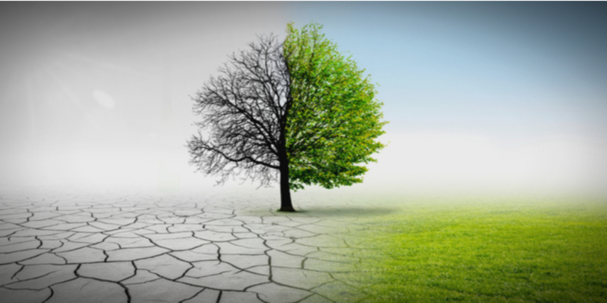 climate change