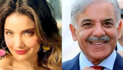 Shehbaz Sharif refused by Armeena Rana Khan as a PM