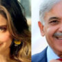 Shehbaz Sharif refused by Armeena Rana Khan as a PM