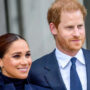 Harry and Meghan’s mutual addiction is revealed in the book