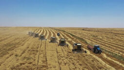 Ukraine says Russia stolen “several hundred thousand tonnes” of grain.