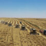 Ukraine says Russia stolen “several hundred thousand tonnes” of grain.