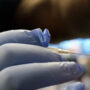 White House: citizens over 60 should get a second Covid vaccine booster