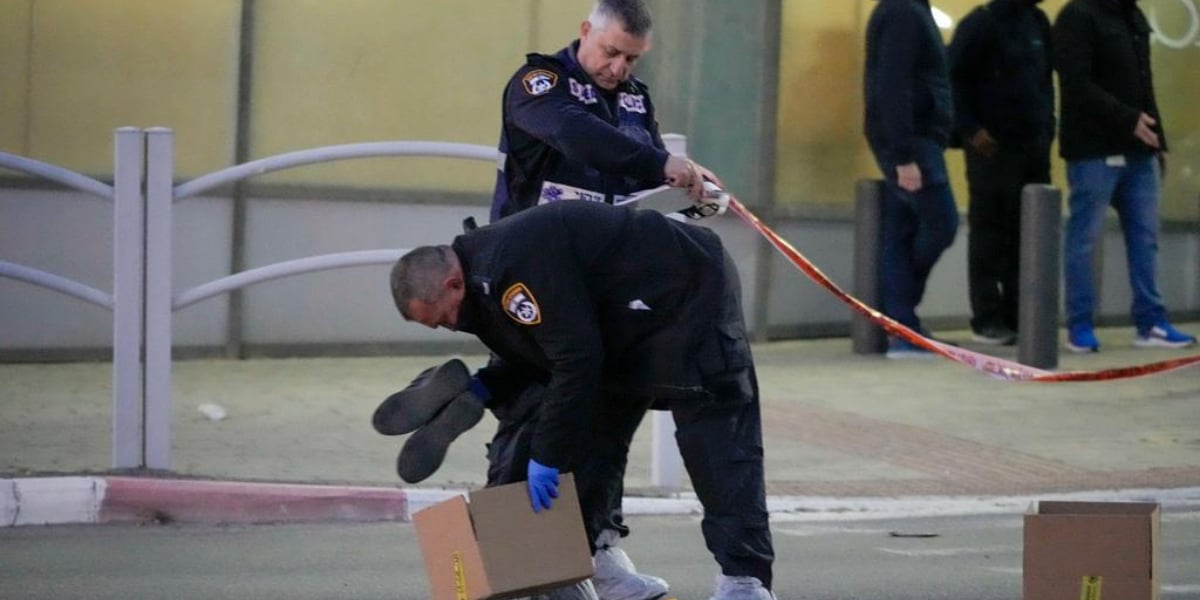 Stabbing attack on police