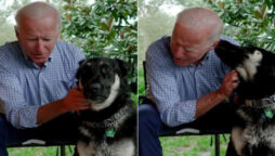 Joe Biden’s dog bit Secret Service agents