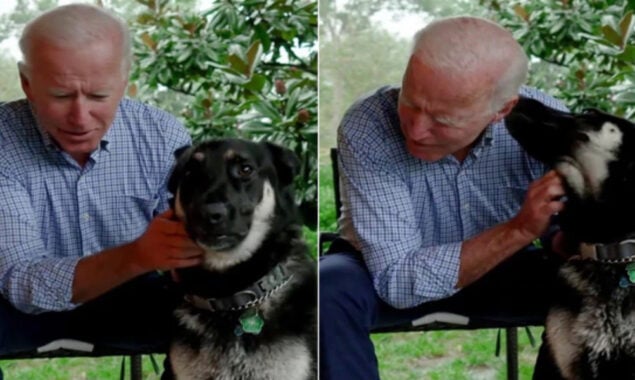 Joe Biden’s dog bit Secret Service agents