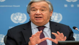 UN chief meets Zelensky