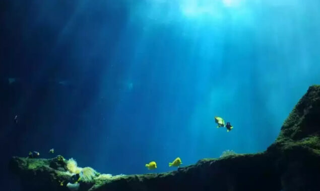 5,500 new RNA virus species have been discovered in the ocean