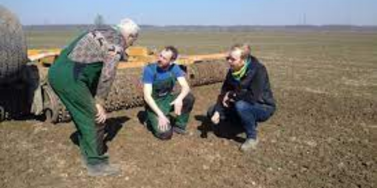 Ukraine could lose half its harvest due to war: minister