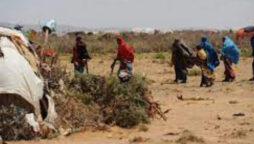UN ramps up humanitarian assistance to avoid famine in Somalia