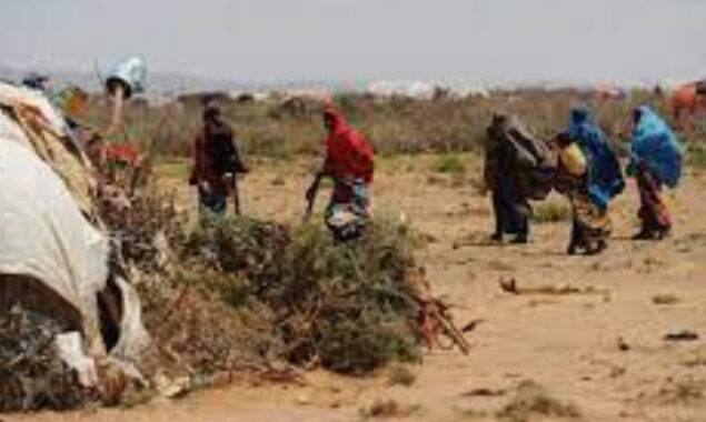 UN ramps up humanitarian assistance to avoid famine in Somalia