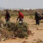 UN ramps up humanitarian assistance to avoid famine in Somalia
