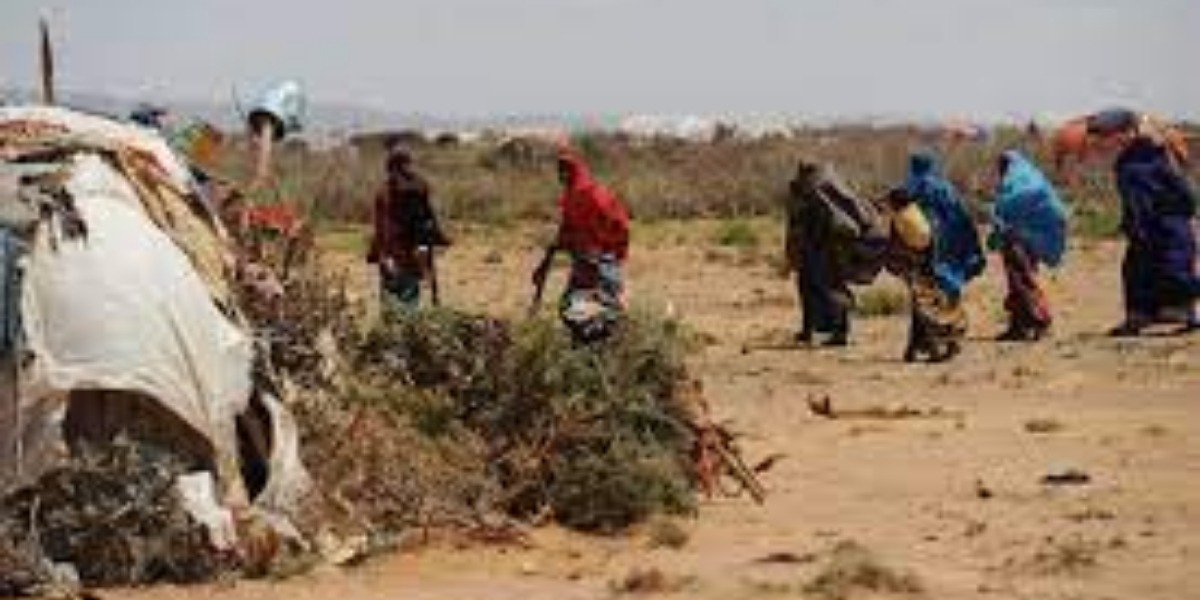 UN ramps up humanitarian assistance to avoid famine in Somalia