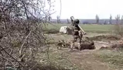 Video: After shooting down a Russian drone, Ukrainian soldiers celebrate