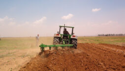 Farmers in Odesa are on stretched to the brink in result of Ukraine war